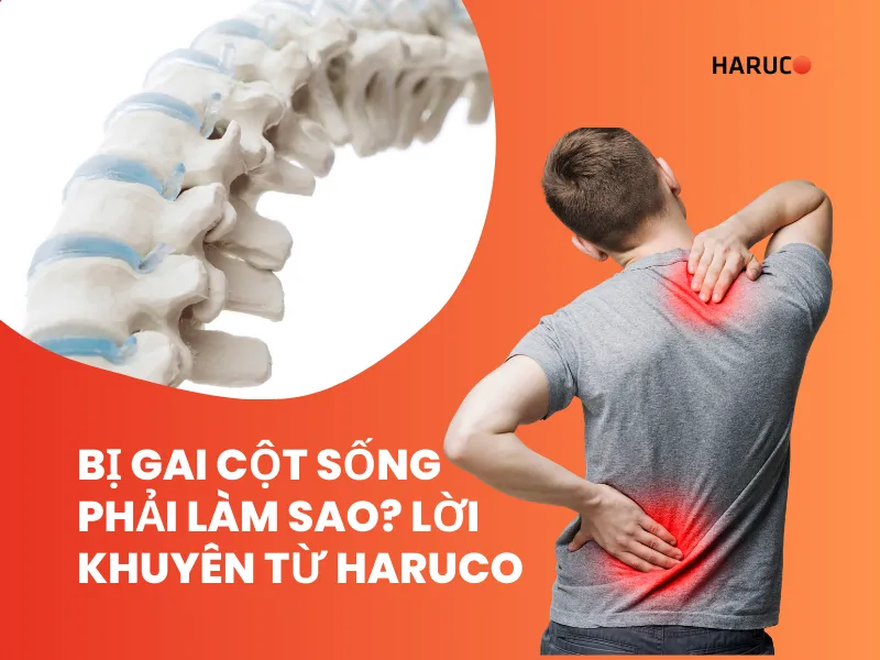dai-lung-cot-song-haruco