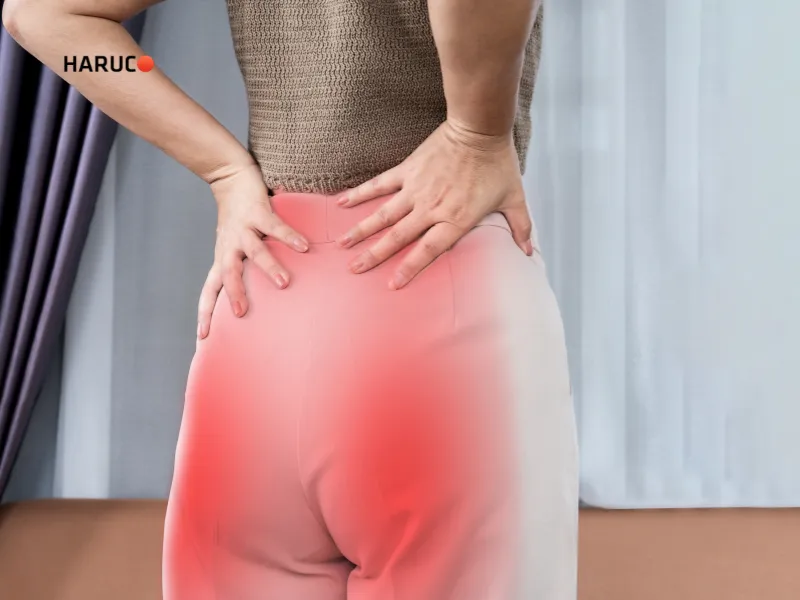 may-massage-xung-dien-haruco