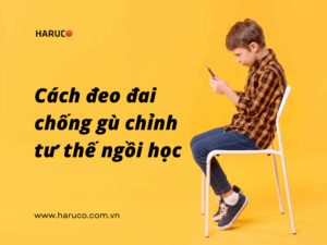 dai-lung-chong-gu-haruco