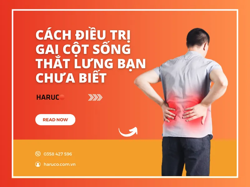 dai-lung-cot-song-haruco