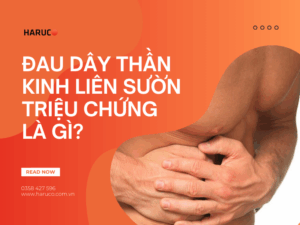 dai-lung-cot-song-haruco