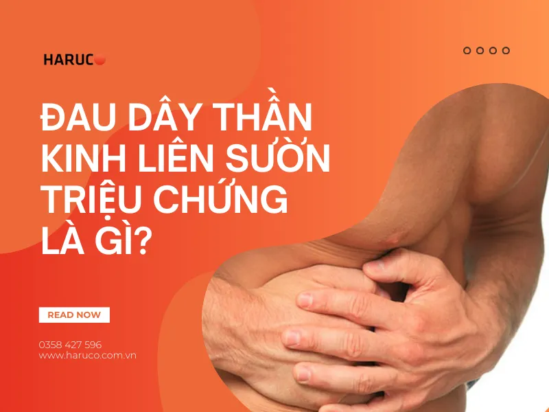dai-lung-cot-song-haruco