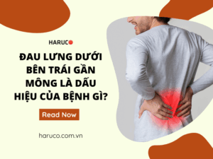 dai-lung-cot-song-haruco