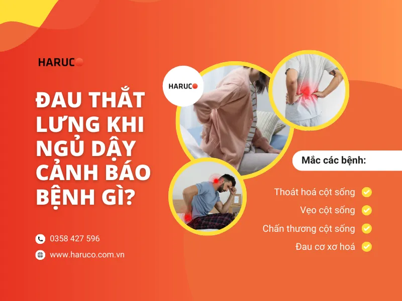 dai-lung-cot-song-haruco