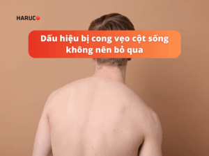 dai-lung-chong-gu-haruco