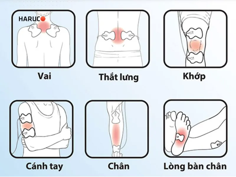 may-massage-xung-dien-haruco