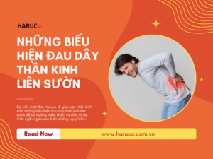 dai-lung-cot-song-haruco