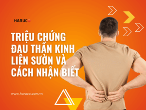 dai-lung-cot-song-haruco