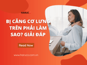 dai-lung-chong-gu-haruco