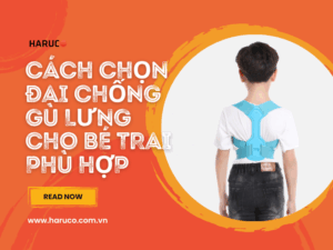 dai-lung-chong-gu-haruco