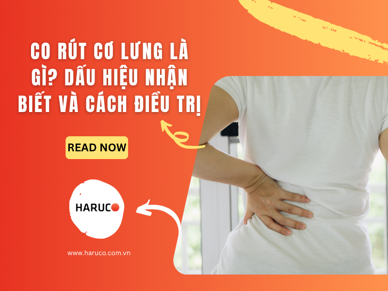 dai-lung-cot-song-haruco
