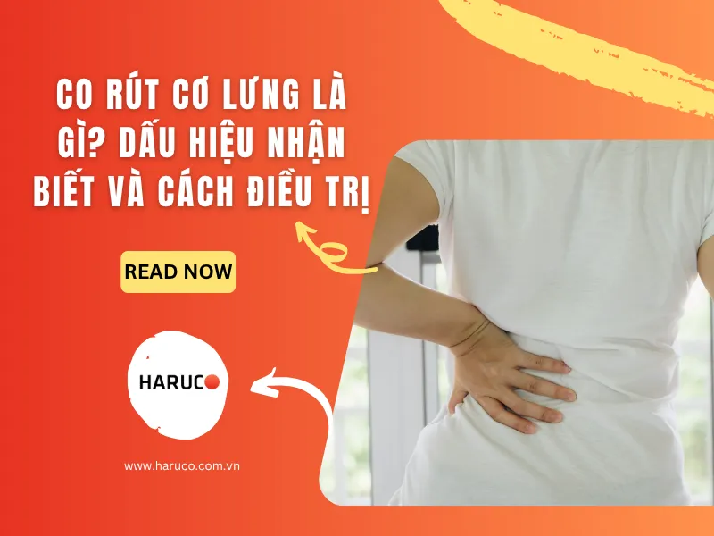 dai-lung-cot-song-haruco