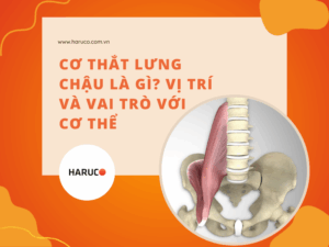 dai-lung-cot-song-haruco