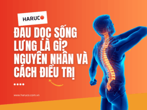 dai-lung-cot-song-haruco