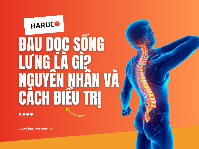 Đau dọc sống lưng là gì? Nguyên nhân và cách điều trị
