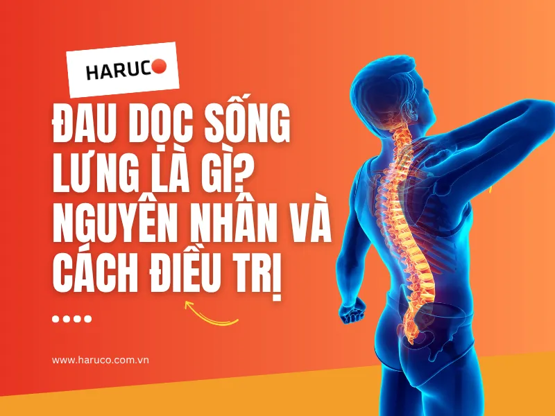 dai-lung-cot-song-haruco