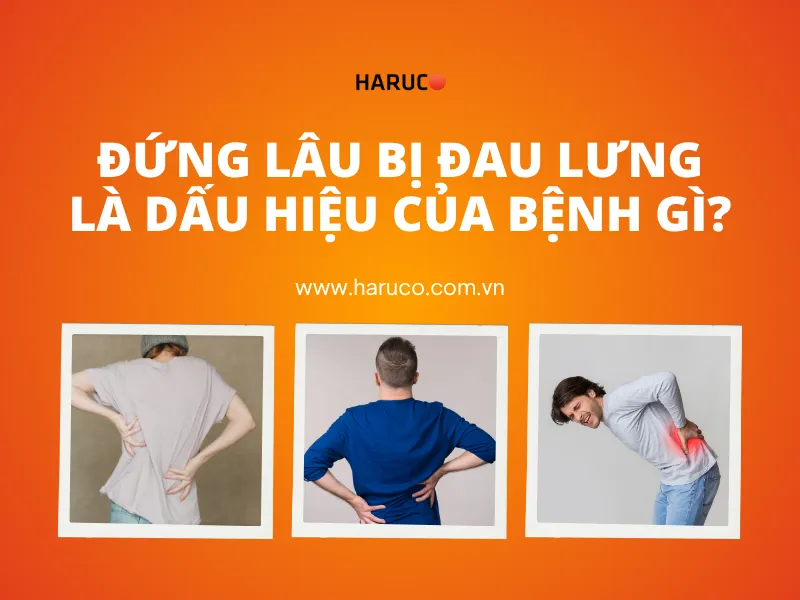 dai-lung-cot-song-haruco