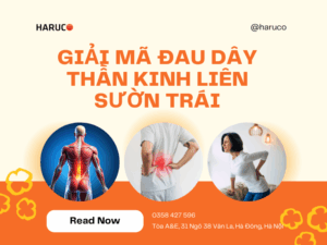 dai-lung-cot-song-haruco