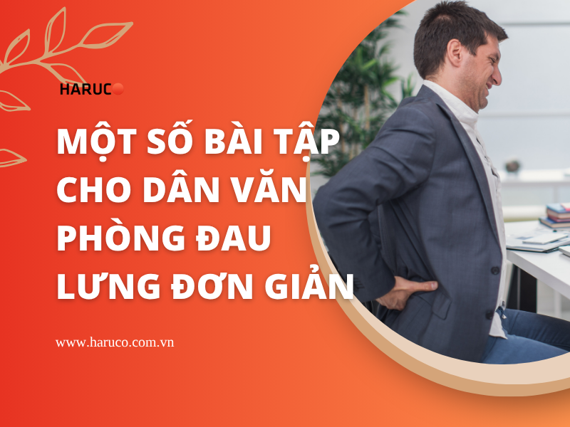 Một số bài tập cho dân văn phòng đau lưng đơn giản