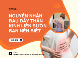 dai-lung-cot-song-haruco