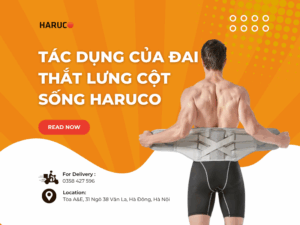 dai-lung-cot-song-haruco
