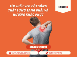 dai-lung-cot-song-haruco