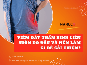 dai-lung-cot-song-haruco