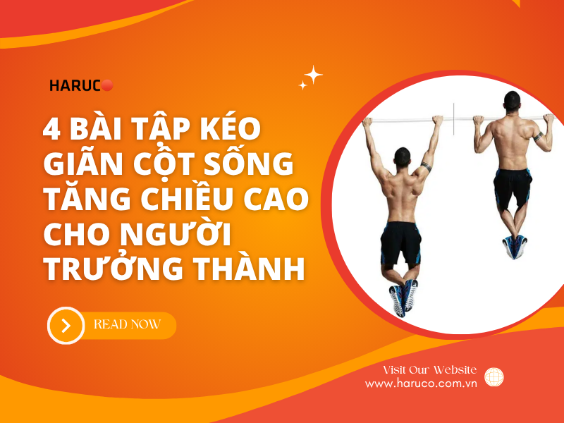 4 bài tập kéo giãn cột sống tăng chiều cao cho người trưởng thành