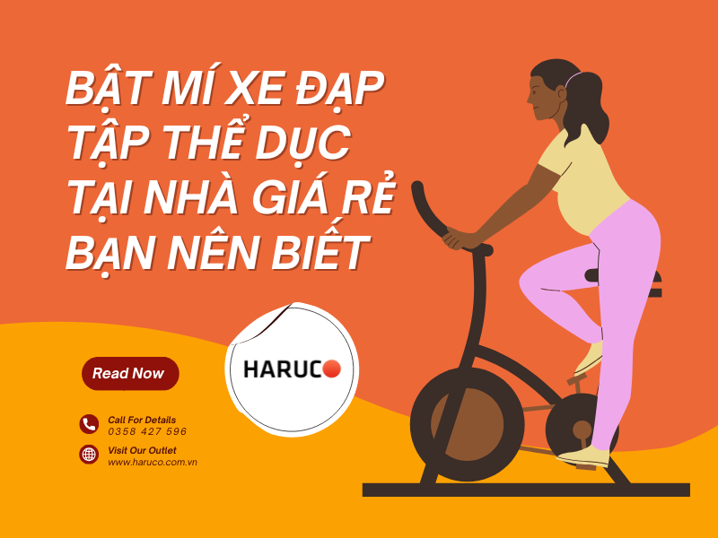 Bật mí giá xe đạp tập thể dục tại nhà bạn nên biết