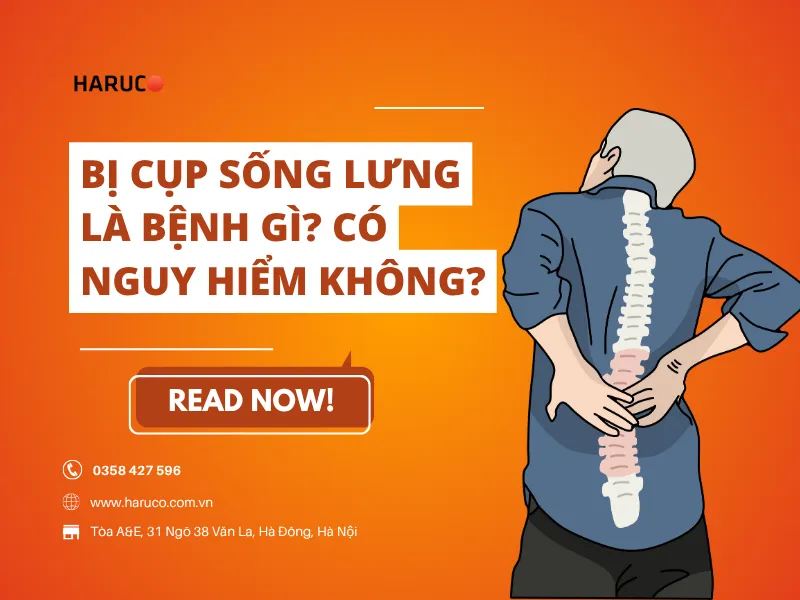 dai-lung-cot-song