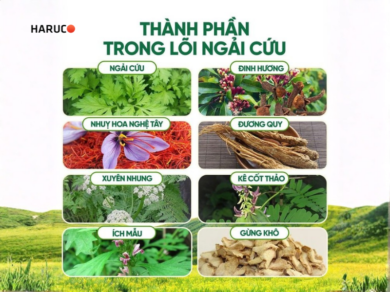 tham-ngai-cuu-dong-y-haruco