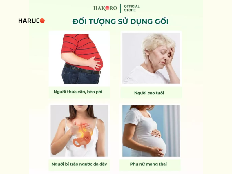 goi-chong-trao-nguoc-hakoro