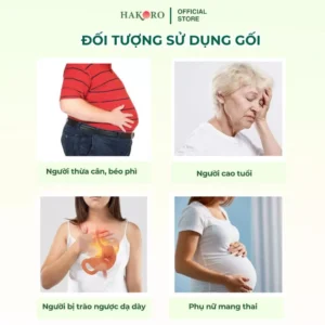goi-chong-trao-nguoc-hakoro
