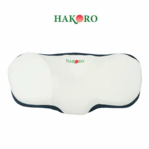 goi-ngu-cong-thai-hoc-hakoro