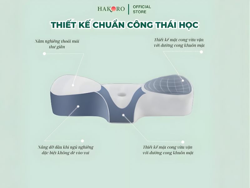 goi-ngu-cong-thai-hoc-hakoro