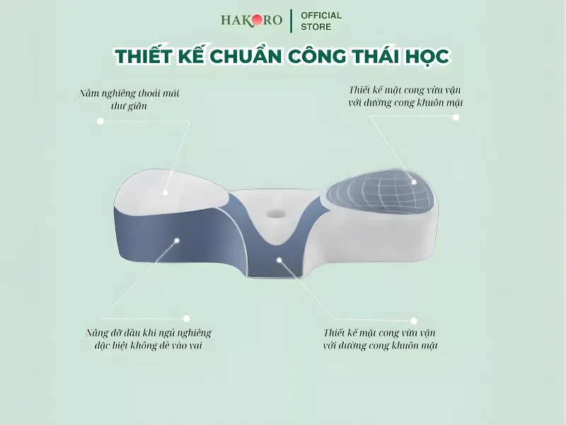 goi-ngu-cong-thai-hoc-hakoro