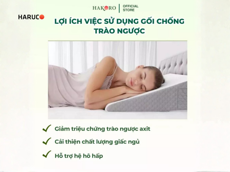 goi-chong-trao-nguoc-hakoro