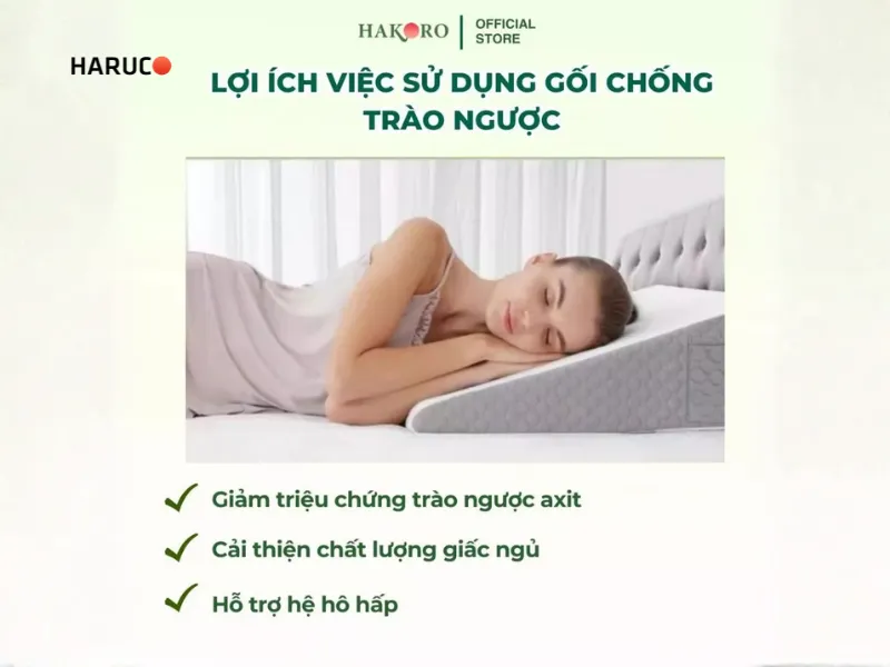 goi-chong-trao-nguoc-hakoro