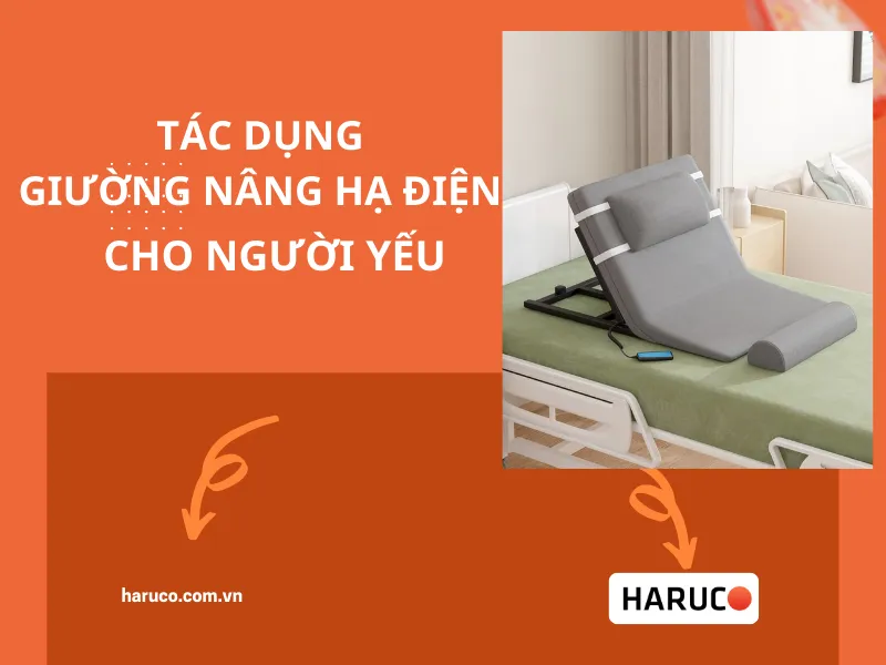 dem-nang-ha-tu-dong-haurco