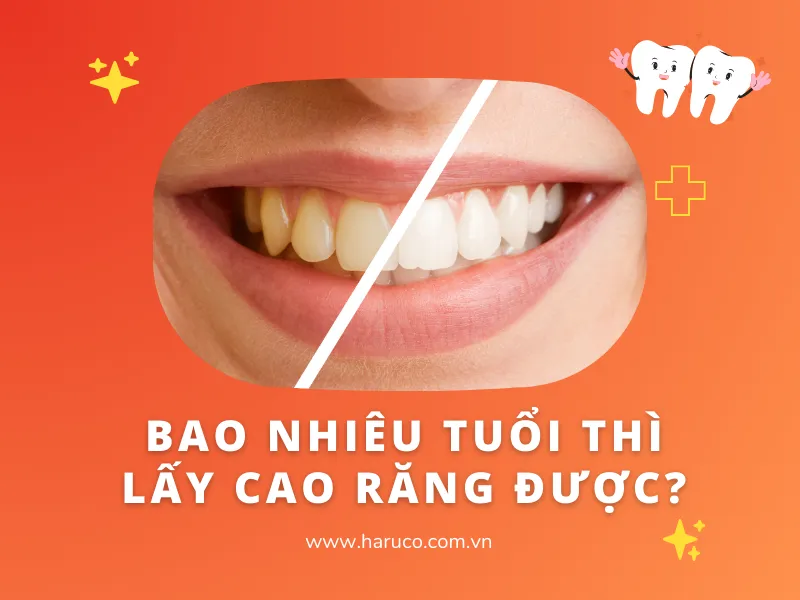 may-lay-cao-rang-haruco