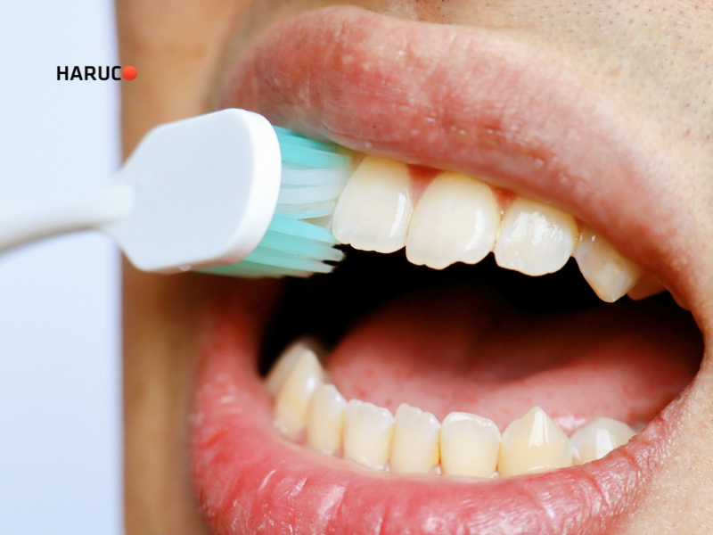 may-lay-cao-rang-haruco