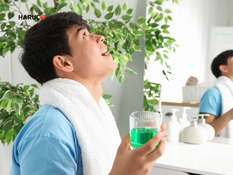 may-lay-cao-rang-haruco