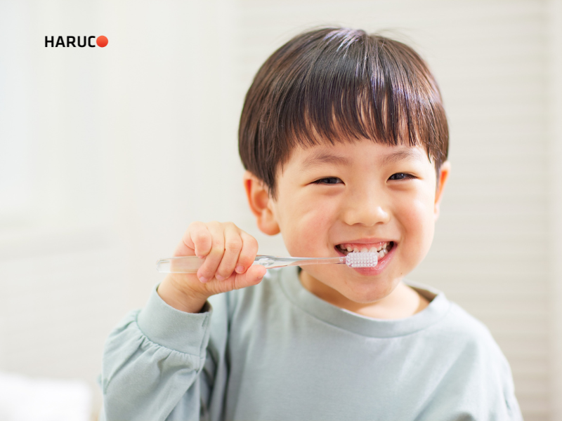 may-lay-cao-rang-haruco