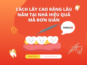 may-lay-cao-rang-haruco