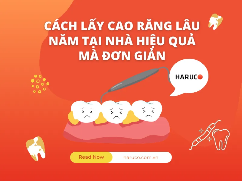 may-lay-cao-rang-haruco