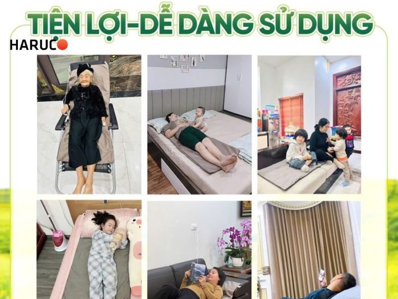 tham-ngai-cuu-dong-y-haruco