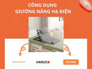 dem-nang-ha-tu-dong-haurco