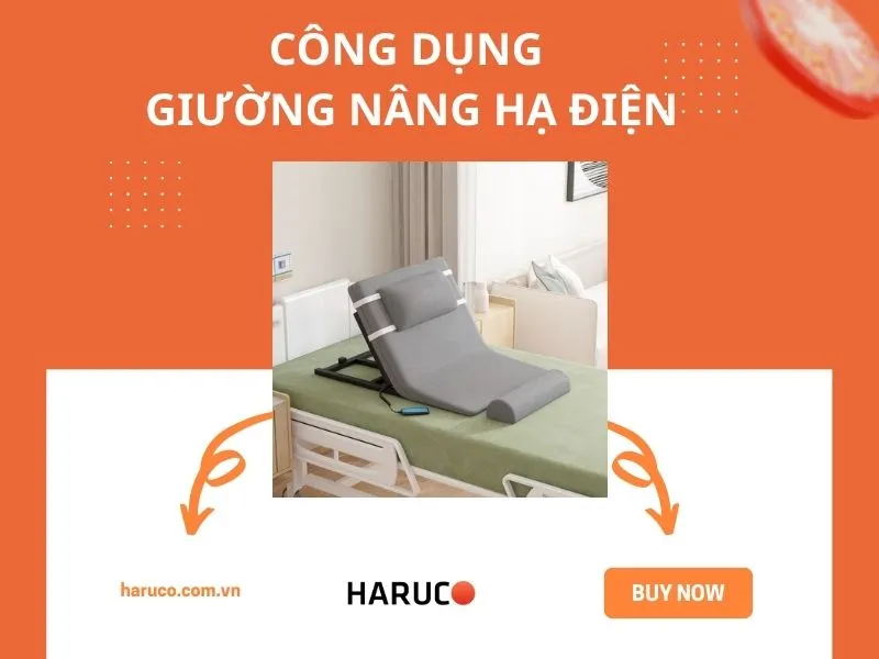 dem-nang-ha-tu-dong-haurco