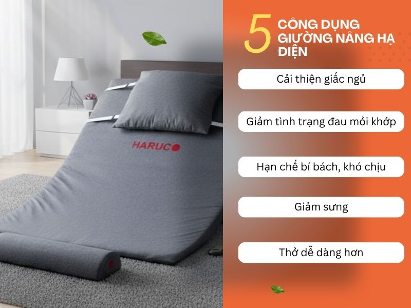 dem-nang-ha-tu-dong-haurco