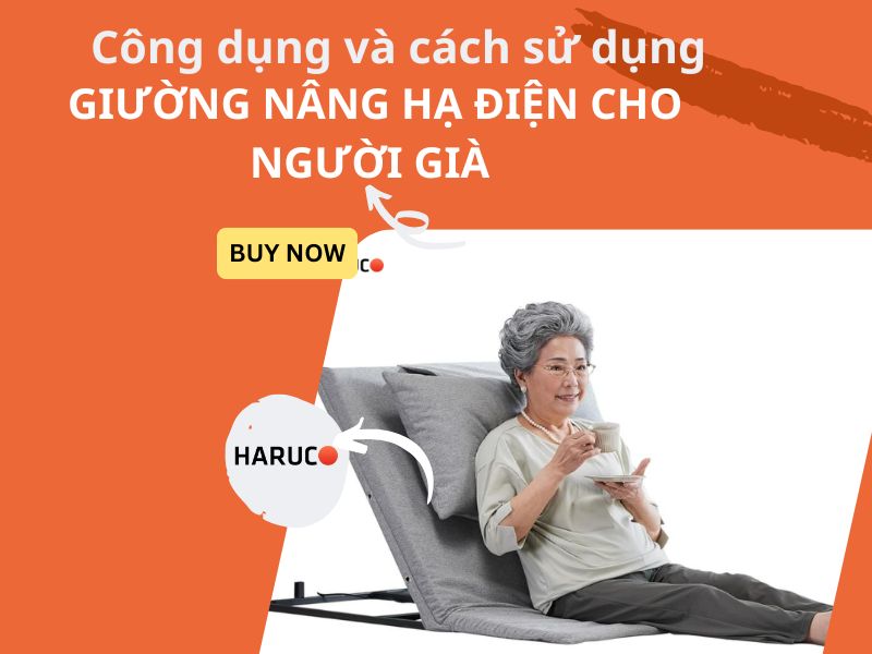 Công dụng và cách sử dụng giường nâng hạ điện cho người già 